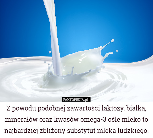 Z powodu podobnej zawartości laktozy, białka, minerałów oraz kwasów omega-3 ośle mleko to najbardziej zbliżony substytut mleka ludzkiego. 