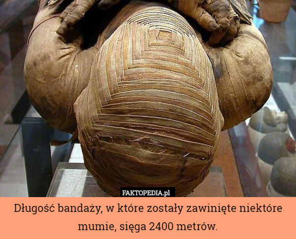 Długość bandaży, w które zostały zawinięte niektóre mumie, sięga 2400 metrów. 