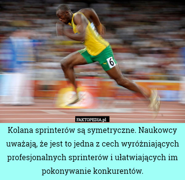 Kolana sprinterów są symetryczne. Naukowcy uważają, że jest to jedna z cech wyróżniających profesjonalnych sprinterów i ułatwiających im pokonywanie konkurentów. 