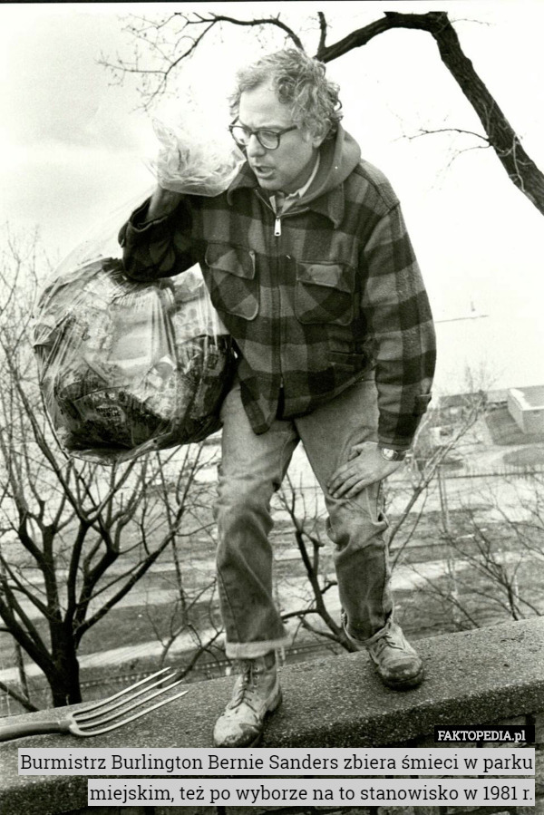 Burmistrz Burlington Bernie Sanders zbiera śmieci w parku miejskim, też po wyborze na to stanowisko w 1981 r. 