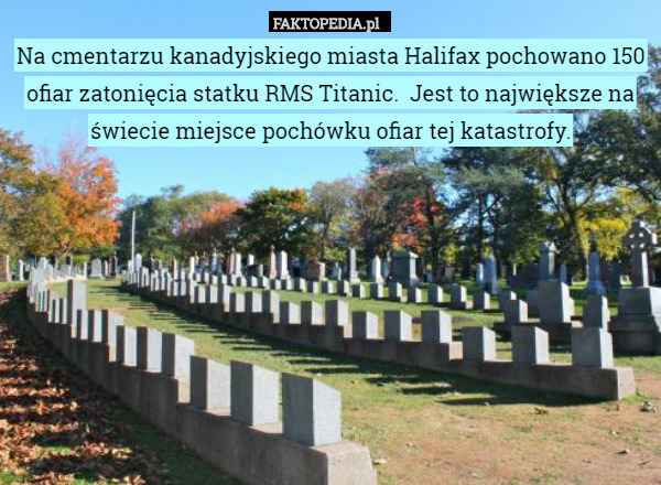 Na cmentarzu kanadyjskiego miasta Halifax pochowano 150 ofiar zatonięcia statku RMS Titanic.  Jest to największe na świecie miejsce pochówku ofiar tej katastrofy. 