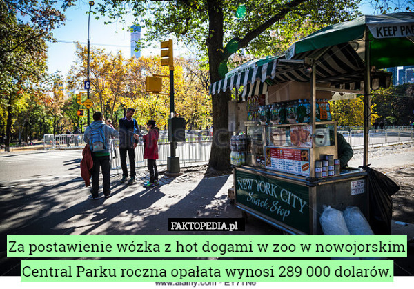 Za postawienie wózka z hot dogami w zoo w nowojorskim Central Parku roczna opałata wynosi 289 000 dolarów. 
