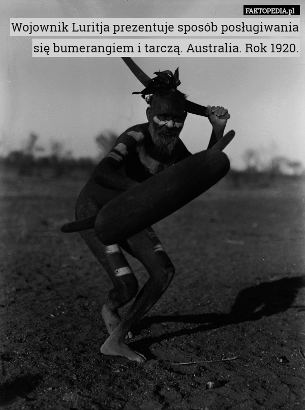 Wojownik Luritja prezentuje sposób posługiwania się bumerangiem i tarczą. Australia. Rok 1920. 