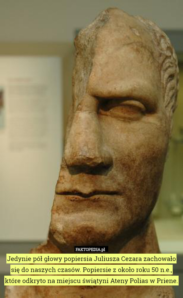 Jedynie pół głowy popiersia Juliusza Cezara zachowało się do naszych czasów. Popiersie z około roku 50 n.e., które odkryto na miejscu świątyni Ateny Polias w Priene. 