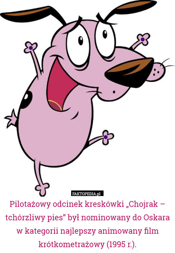 Pilotażowy odcinek kreskówki „Chojrak – tchórzliwy pies” był nominowany do Oskara w kategorii najlepszy animowany film krótkometrażowy (1995 r.). 