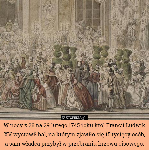W nocy z 28 na 29 lutego 1745 roku król Francji Ludwik XV wystawił bal, na którym zjawiło się 15 tysięcy osób, a sam władca przybył w przebraniu krzewu cisowego. 