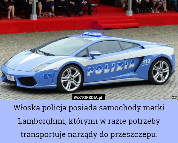 Włoska policja posiada samochody marki Lamborghini, którymi w razie potrzeby transportuje narządy do przeszczepu. 
