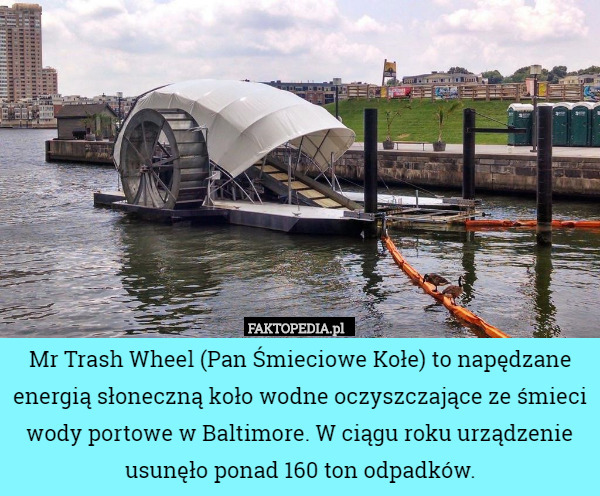 Mr Trash Wheel (Pan Śmieciowe Kołe) to napędzane energią słoneczną koło wodne oczyszczające ze śmieci wody portowe w Baltimore. W ciągu roku urządzenie usunęło ponad 160 ton odpadków. 