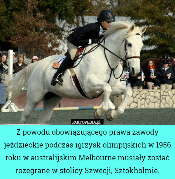 Z powodu obowiązującego prawa zawody jeździeckie podczas igrzysk olimpijskich w 1956 roku w australijskim Melbourne musiały zostać rozegrane w stolicy Szwecji, Sztokholmie. 