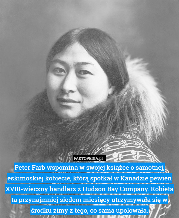 Peter Farb wspomina w swojej książce o samotnej, eskimoskiej kobiecie, którą spotkał w Kanadzie pewien XVIII-wieczny handlarz z Hudson Bay Company. Kobieta ta przynajmniej siedem miesięcy utrzymywała się w środku zimy z tego, co sama upolowała. 