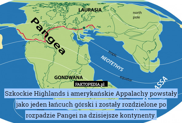 Szkockie Highlands i amerykańskie Appalachy powstały jako jeden łańcuch górski i zostały rozdzielone po rozpadzie Pangei na dzisiejsze kontynenty. 