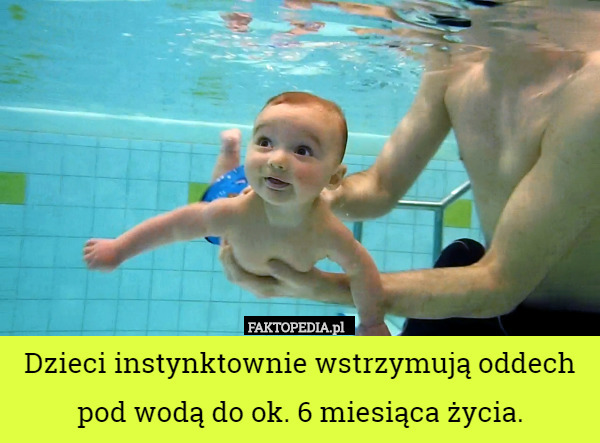 Dzieci instynktownie wstrzymują oddech pod wodą do ok. 6 miesiąca życia. 