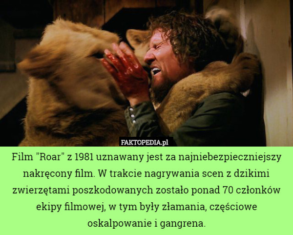 Film "Roar" z 1981 uznawany jest za najniebezpieczniejszy nakręcony film. W trakcie nagrywania scen z dzikimi zwierzętami poszkodowanych zostało ponad 70 członków ekipy filmowej, w tym były złamania, częściowe oskalpowanie i gangrena. 