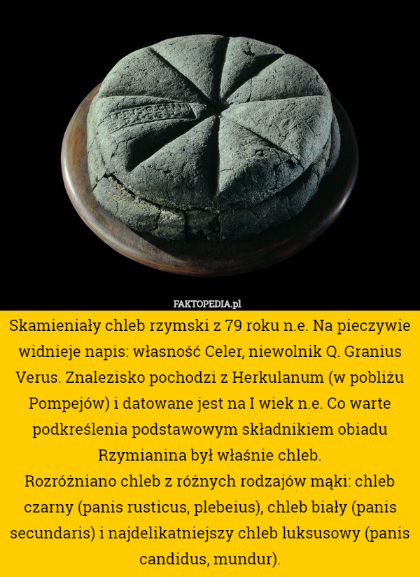Skamieniały chleb rzymski z 79 roku n.e. Na pieczywie widnieje napis: własność Celer, niewolnik Q. Granius Verus. Znalezisko pochodzi z Herkulanum (w pobliżu Pompejów) i datowane jest na I wiek n.e. Co warte podkreślenia podstawowym składnikiem obiadu Rzymianina był właśnie chleb.
Rozróżniano chleb z różnych rodzajów mąki: chleb czarny (panis rusticus, plebeius), chleb biały (panis secundaris) i najdelikatniejszy chleb luksusowy (panis candidus, mundur). 