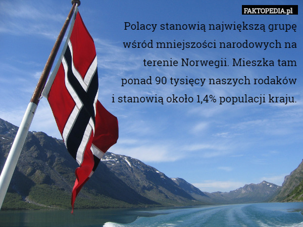 Polacy stanowią największą grupę
 wśród mniejszości narodowych na
 terenie Norwegii. Mieszka tam
 ponad 90 tysięcy naszych rodaków
 i stanowią około 1,4% populacji kraju. 
