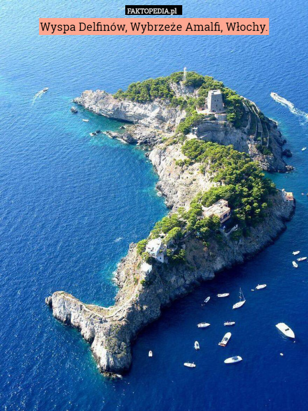 Wyspa Delfinów, Wybrzeże Amalfi, Włochy. 
