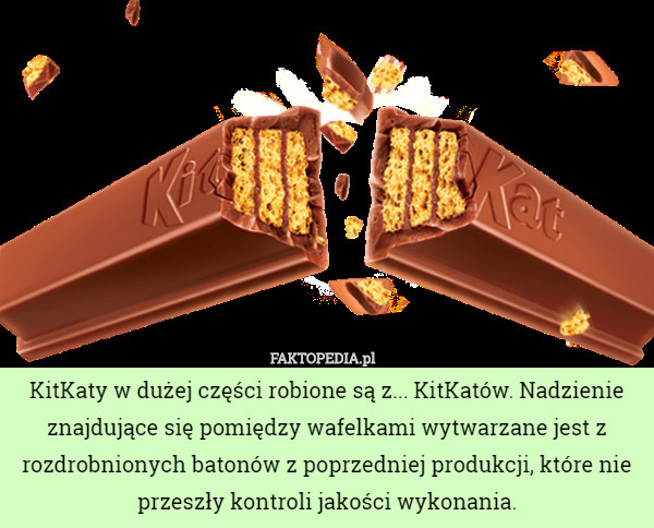 KitKaty w dużej części robione są z... KitKatów. Nadzienie znajdujące się pomiędzy wafelkami wytwarzane jest z rozdrobnionych batonów z poprzedniej produkcji, które nie przeszły kontroli jakości wykonania. 