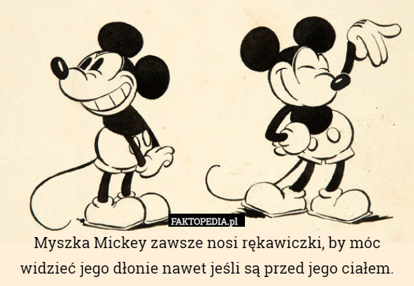 Myszka Mickey zawsze nosi rękawiczki, by móc widzieć jego dłonie nawet jeśli są przed jego ciałem. 