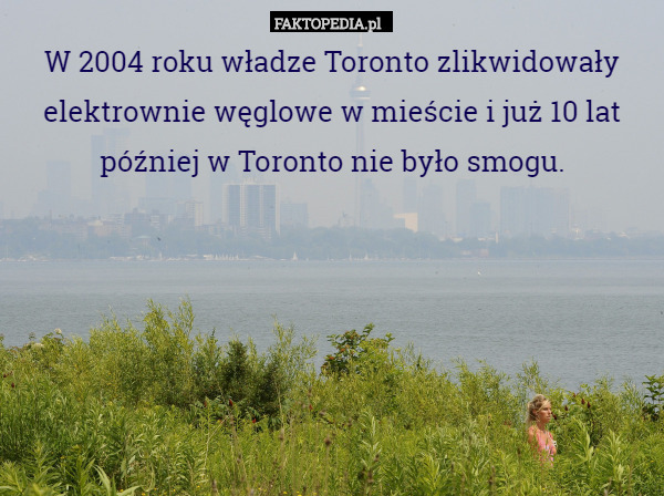 W 2004 roku władze Toronto zlikwidowały elektrownie węglowe w mieście i już 10 lat później w Toronto nie było smogu. 