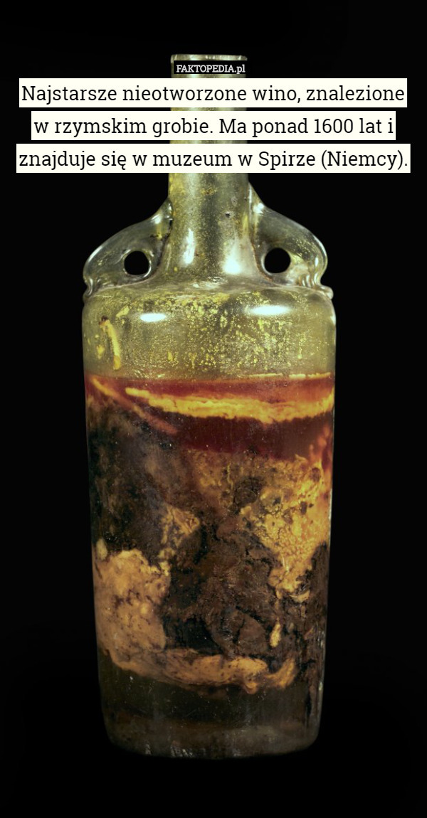 Najstarsze nieotworzone wino, znalezione
 w rzymskim grobie. Ma ponad 1600 lat i znajduje się w muzeum w Spirze (Niemcy). 