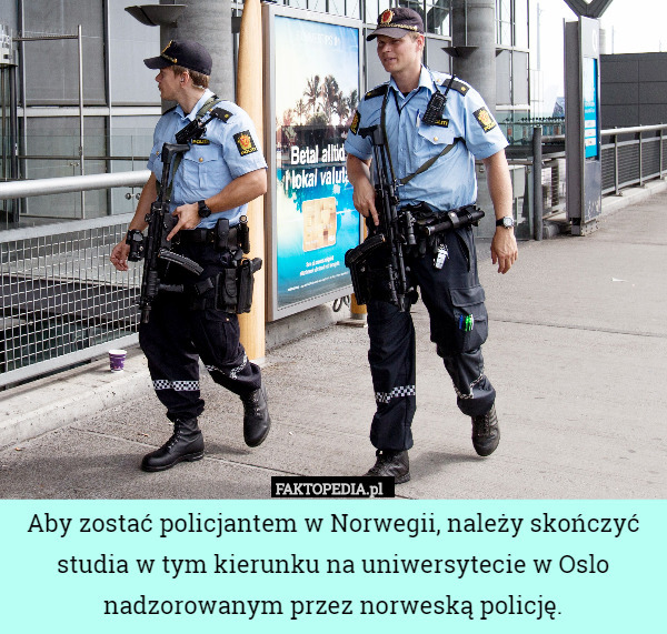 Aby zostać policjantem w Norwegii, należy skończyć studia w tym kierunku na uniwersytecie w Oslo nadzorowanym przez norweską policję. 