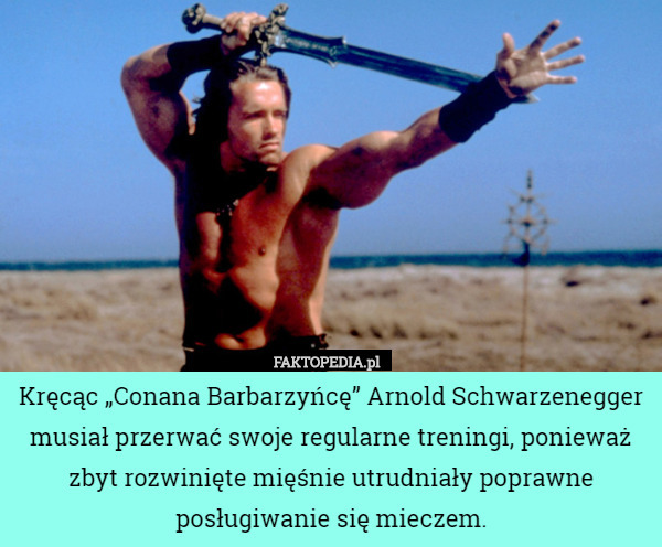 Kręcąc „Conana Barbarzyńcę” Arnold Schwarzenegger musiał przerwać swoje regularne treningi, ponieważ zbyt rozwinięte mięśnie utrudniały poprawne posługiwanie się mieczem. 