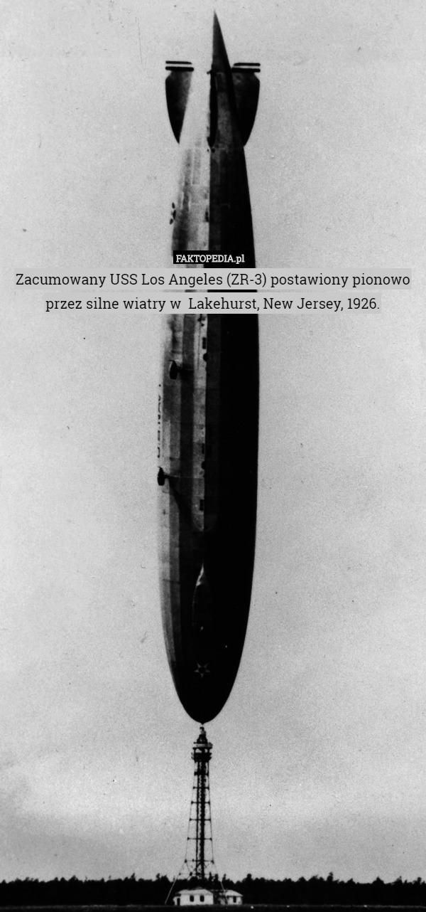 Zacumowany USS Los Angeles (ZR-3) postawiony pionowo przez silne wiatry w  Lakehurst, New Jersey, 1926. 