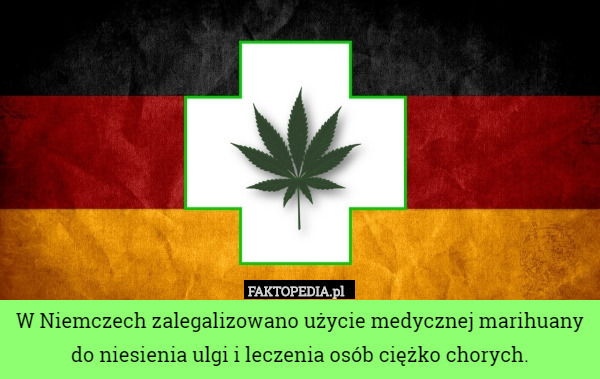 W Niemczech zalegalizowano użycie medycznej marihuany do niesienia ulgi i leczenia osób ciężko chorych. 