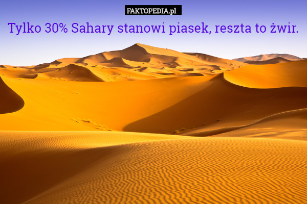 Tylko 30% Sahary stanowi piasek, reszta to żwir. 