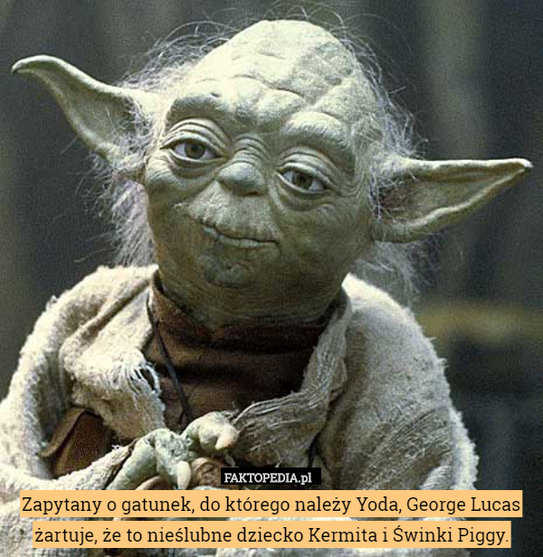 Zapytany o gatunek, do którego należy Yoda, George Lucas żartuje, że to nieślubne dziecko Kermita i Świnki Piggy. 