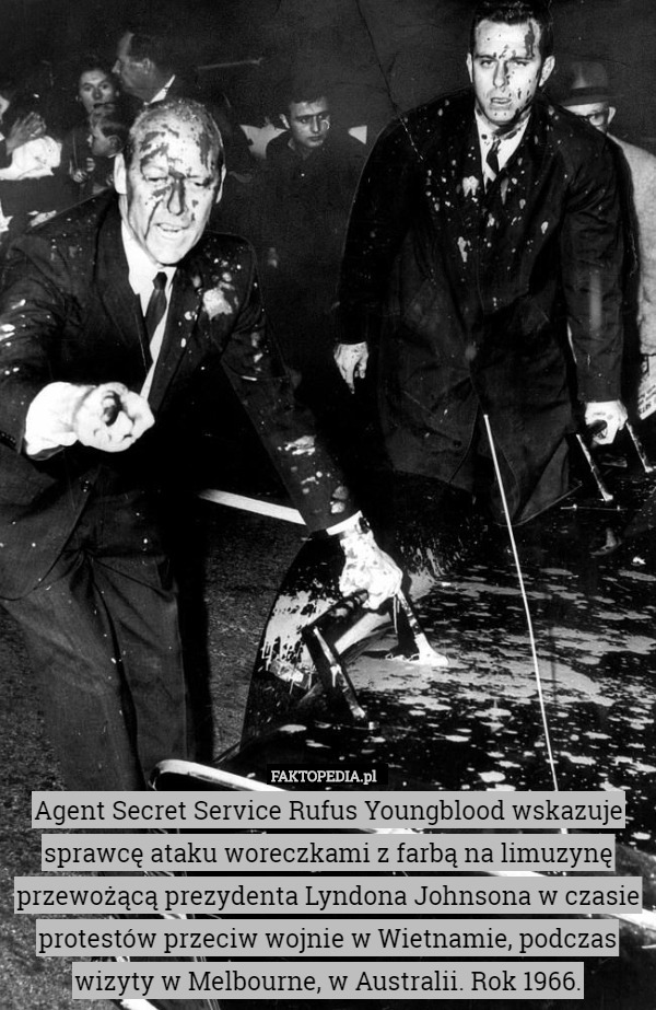 Agent Secret Service Rufus Youngblood wskazuje sprawcę ataku woreczkami z farbą na limuzynę przewożącą prezydenta Lyndona Johnsona w czasie protestów przeciw wojnie w Wietnamie, podczas wizyty w Melbourne, w Australii. Rok 1966. 