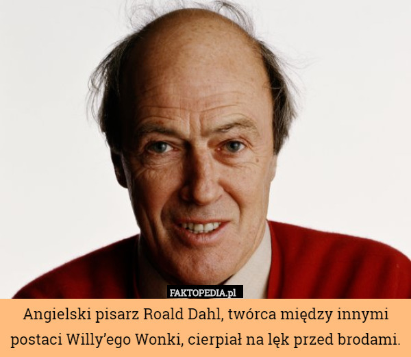 Angielski pisarz Roald Dahl, twórca między innymi postaci Willy’ego Wonki, cierpiał na lęk przed brodami. 