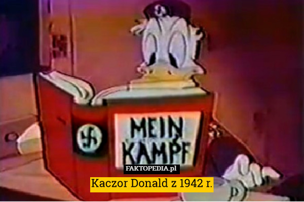 Kaczor Donald z 1942 r. 