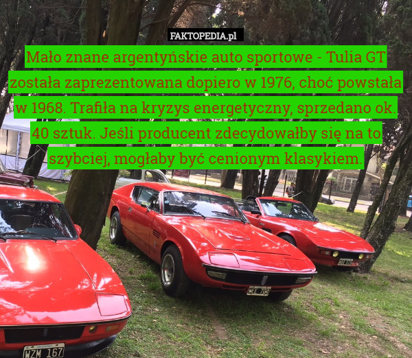Mało znane argentyńskie auto sportowe - Tulia GT została zaprezentowana dopiero w 1976, choć powstała w 1968. Trafiła na kryzys energetyczny, sprzedano ok. 40 sztuk. Jeśli producent zdecydowałby się na to szybciej, mogłaby być cenionym klasykiem. 