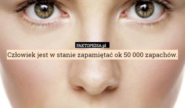 Człowiek jest w stanie zapamiętać ok 50 000 zapachów. 
