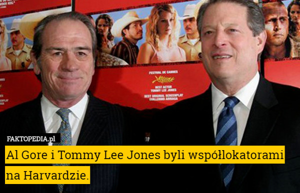 Al Gore i Tommy Lee Jones byli współlokatorami na Harvardzie. 