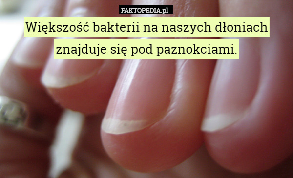 Większość bakterii na naszych dłoniach znajduje się pod paznokciami. 