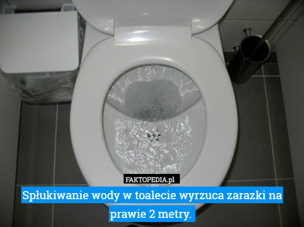 Spłukiwanie wody w toalecie wyrzuca zarazki na prawie 2 metry. 