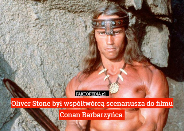 Oliver Stone był współtwórcą scenariusza do filmu Conan Barbarzyńca. 