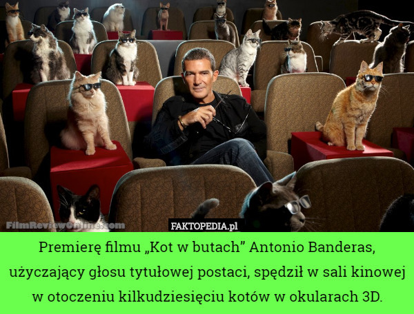 Premierę filmu „Kot w butach” Antonio Banderas, użyczający głosu tytułowej postaci, spędził w sali kinowej w otoczeniu kilkudziesięciu kotów w okularach 3D. 