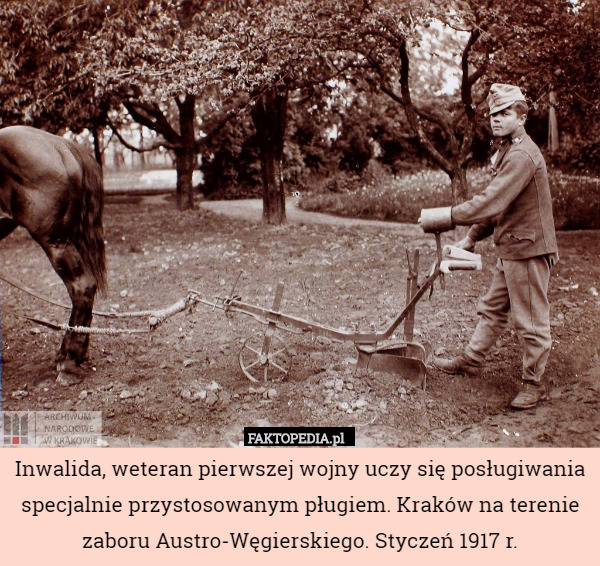 Inwalida, weteran pierwszej wojny uczy się posługiwania specjalnie przystosowanym pługiem. Kraków na terenie zaboru Austro-Węgierskiego. Styczeń 1917 r. 