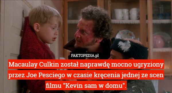 Macaulay Culkin został naprawdę mocno ugryziony przez Joe Pesciego w czasie kręcenia jednej ze scen filmu "Kevin sam w domu". 