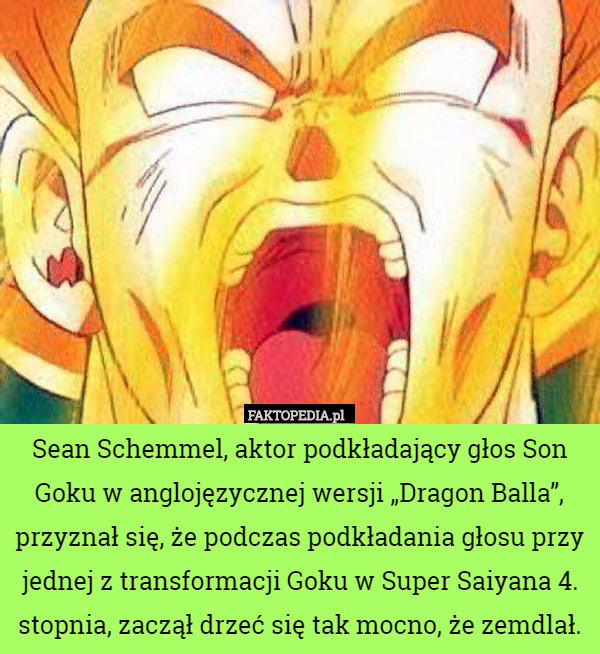 Sean Schemmel, aktor podkładający głos Son Goku w anglojęzycznej wersji „Dragon Balla”, przyznał się, że podczas podkładania głosu przy jednej z transformacji Goku w Super Saiyana 4. stopnia, zaczął drzeć się tak mocno, że zemdlał. 