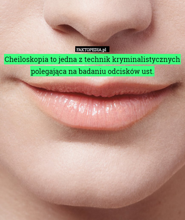 Cheiloskopia to jedna z technik kryminalistycznych polegająca na badaniu odcisków ust. 