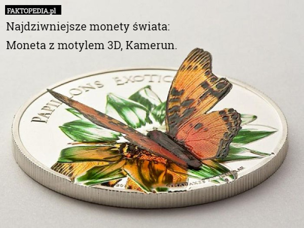 Najdziwniejsze monety świata:
Moneta z motylem 3D, Kamerun. 