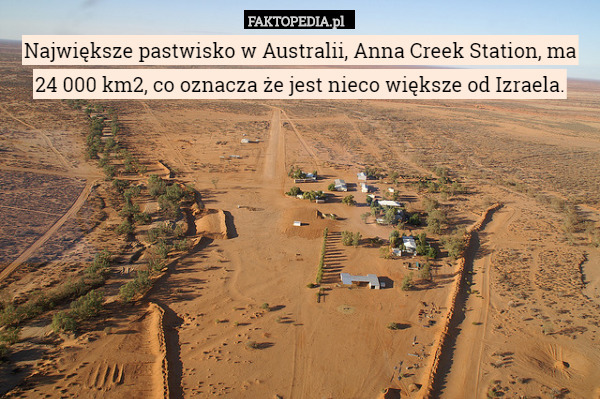 Największe pastwisko w Australii, Anna Creek Station, ma 24 000 km2, co oznacza że jest nieco większe od Izraela. 