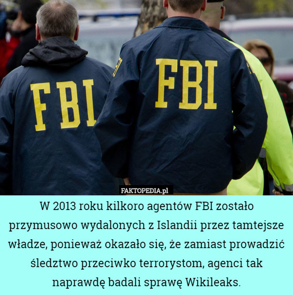 W 2013 roku kilkoro agentów FBI zostało przymusowo wydalonych z Islandii przez tamtejsze władze, ponieważ okazało się, że zamiast prowadzić śledztwo przeciwko terrorystom, agenci tak naprawdę badali sprawę Wikileaks. 