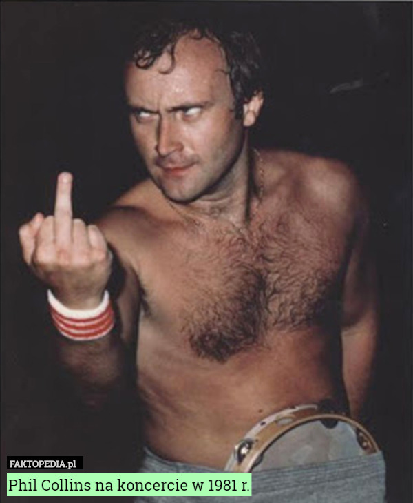 Phil Collins na koncercie w 1981 r. 