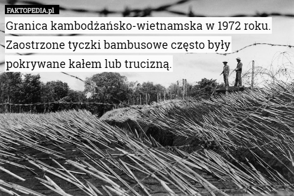 Granica kambodżańsko-wietnamska w 1972 roku. Zaostrzone tyczki bambusowe często były pokrywane kałem lub trucizną. 