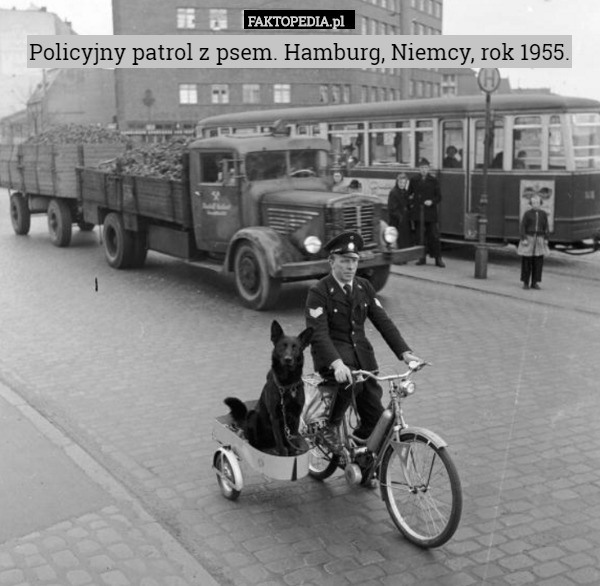 Policyjny patrol z psem. Hamburg, Niemcy, rok 1955. 
